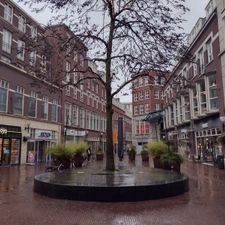 Action Arnhem