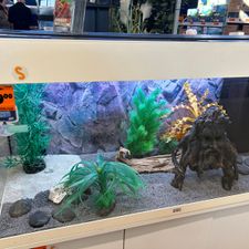 HORNBACH