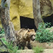 DierenPark Amersfoort