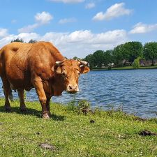 Burgemeester van Zwietenpark