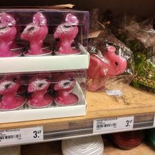 Xenos Meppel