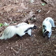 Dierenpark de Oliemeulen