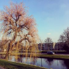 ALDI Culemborg Lanxmeersestraat