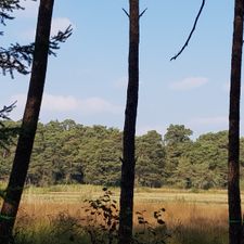 Golfclub Lauswolt