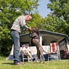 Molecaten Park Landgoed Molecaten