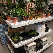 HEMA