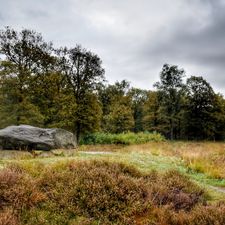 Hotel- Restaurant 't Wapen van Exloo (Woensdag en donderdag alleen geopend voor hotelgasten)