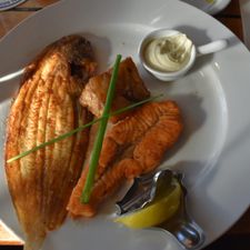 Visrestaurant/Café Neptunus