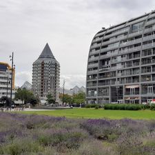 Kruidvat
