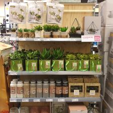 Xenos Barneveld