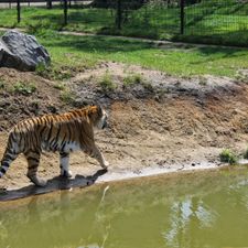 Safaripark Beekse Bergen
