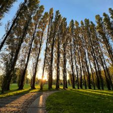 Zuiderpark Den Bosch