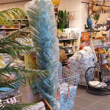 Xenos Haarlem