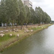High Tech Campus Eindhoven