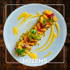 Nozems
