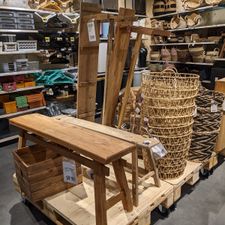 Xenos Coevorden