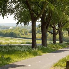 Hotel & Bungalowpark de Zeven Heuvelen