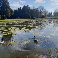 Volkspark