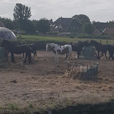 Hotel Dichtbijzee