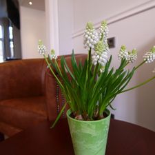 Clemens Hotel Amsterdam