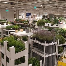 IKEA Delft