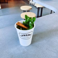 Lebkov & Sons Leiden