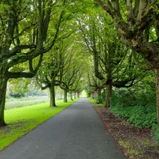 Park Oosterhout