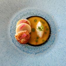 Restaurant Katseveer