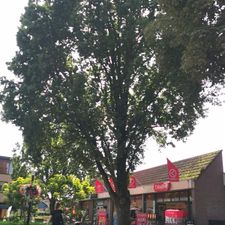 Kruidvat