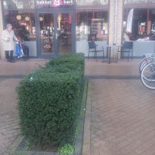 Bakker Bart