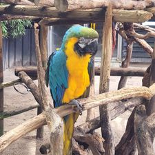 Dierenpark de Oliemeulen