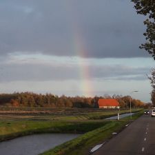 Tango Nieuw Amsterdam