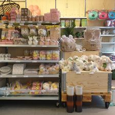 Xenos Barneveld