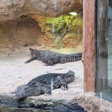 Safaripark Beekse Bergen
