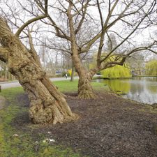 Van Bergen IJzendoornpark