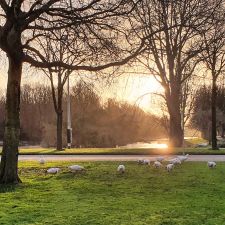 Park Oosterhout