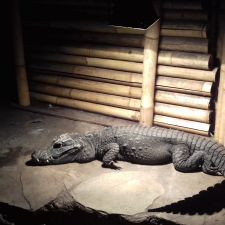 Dierenpark de Oliemeulen