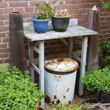 Kruidvat