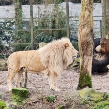 Ouwehands Dierenpark