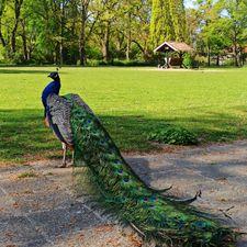 Wilhelminapark