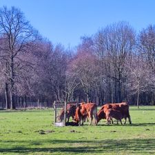 Burgemeester van Zwietenpark