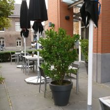 Hotel Keyser Breda