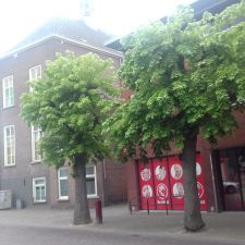 Kruidvat