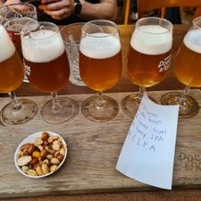 Brouwerij Poesiat & Kater