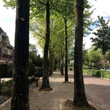 Restaurant Groenewoud
