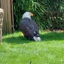 Dierenpark de Oliemeulen