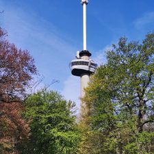 Dudok In Het Park