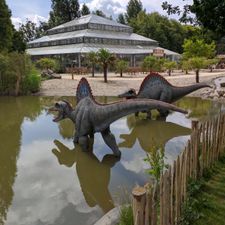 Dinoland Zwolle