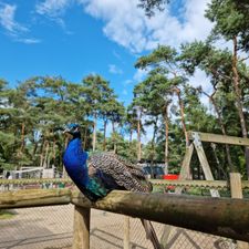 Landal Het Vennenbos