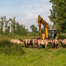 Ingendael